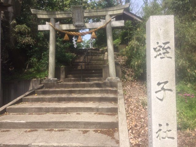 5月のお参りです：蛭子社