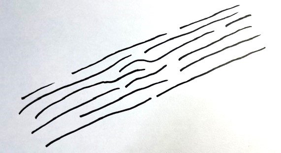 鎖状高分子の配向の模式図