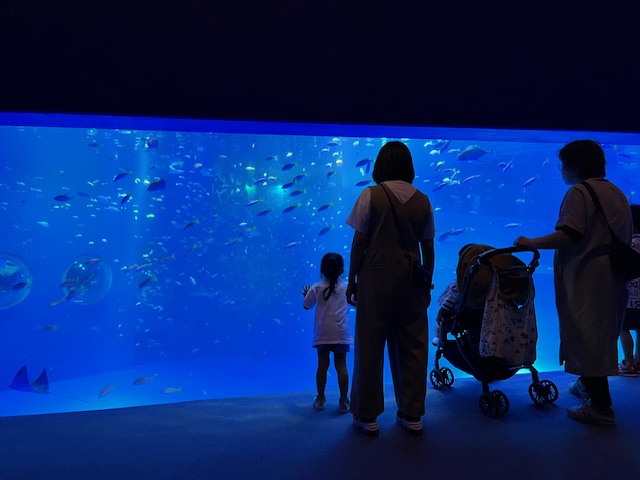 能登島大橋をの大水槽