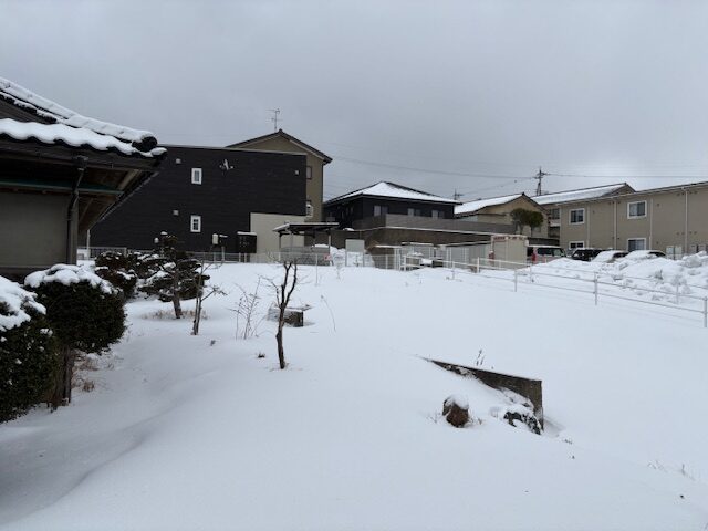 2026年1～2月の最長・最強寒波（大雪）